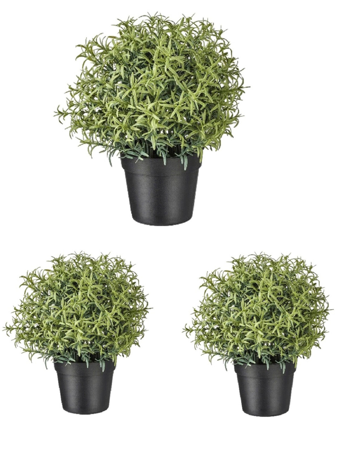 paperi Green Coloured 3 Pieces Rosmarinus Artificial Plants With Pots
