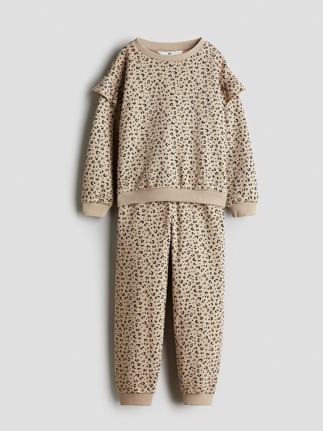 H&M Girls Set of 2 Sweatshirt Set