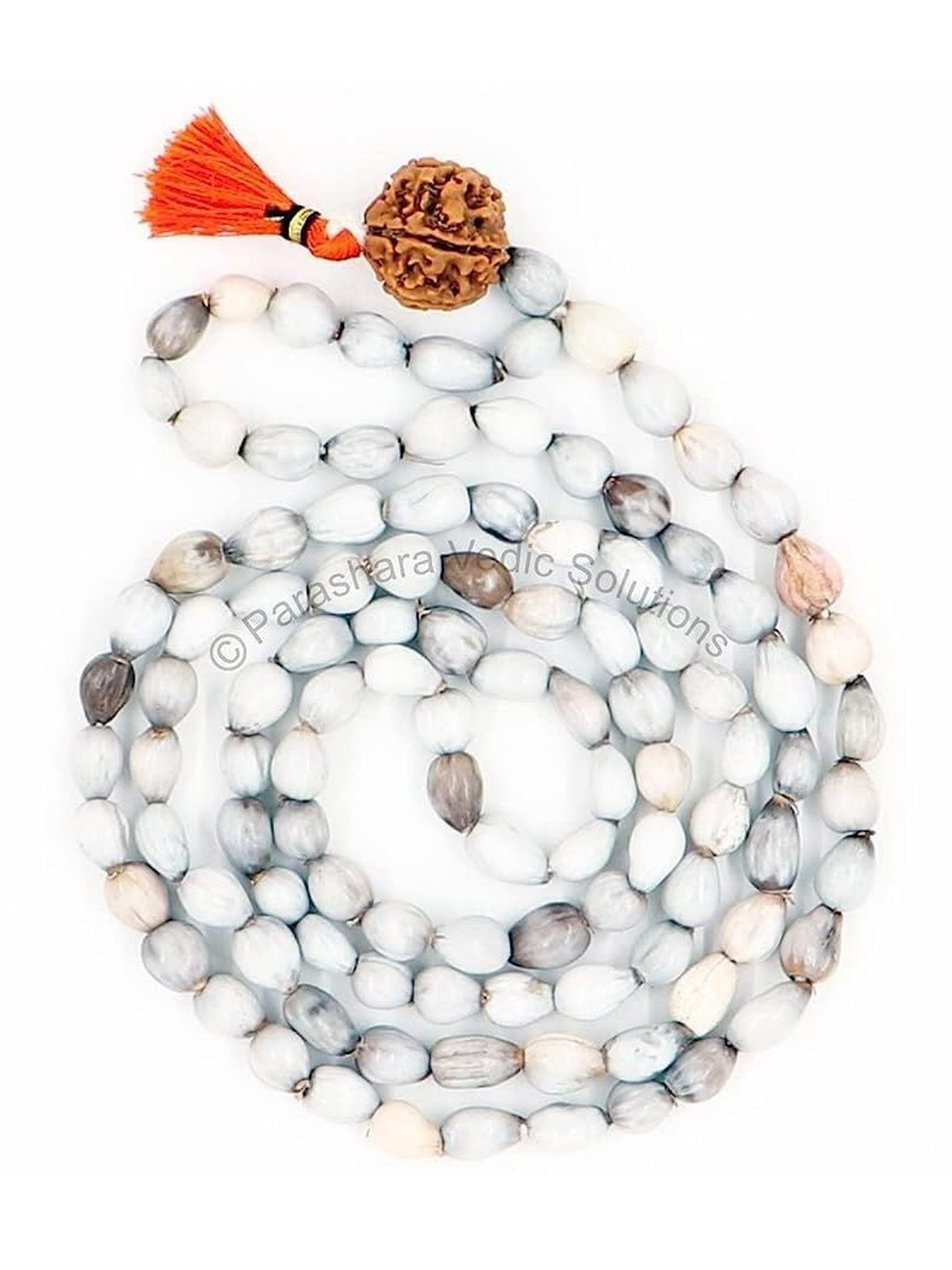 NAKSHATRA JUNCTION White Stainless Steel Necklace