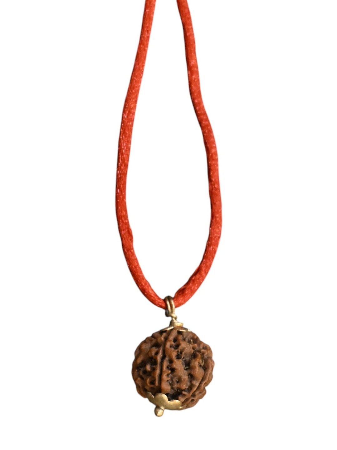 Gems Guru Rudraksha 5 Mukhi Silver Pendent
