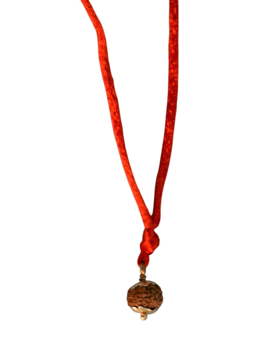 Gems Guru Rudraksha 10 Mukhi Pendent