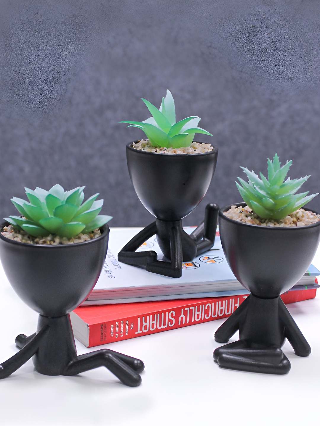 TIED RIBBONS 3 Pieces Green And Black Succulent Artificial Plant With Pot