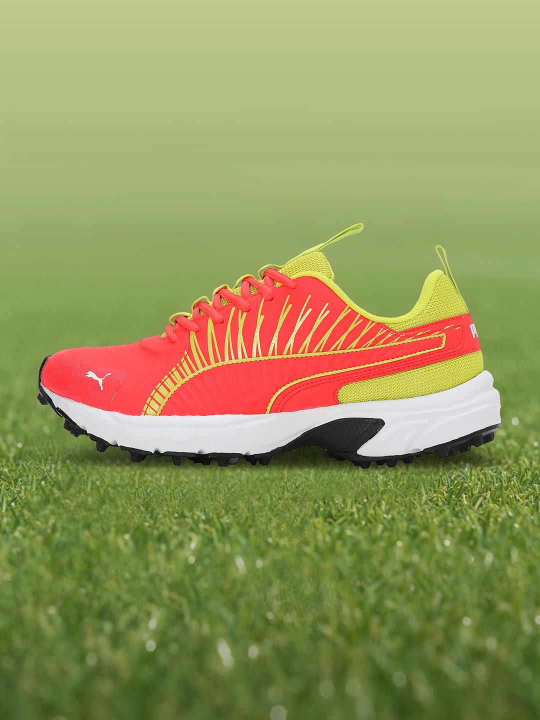Puma Cricket Square Men Shoes