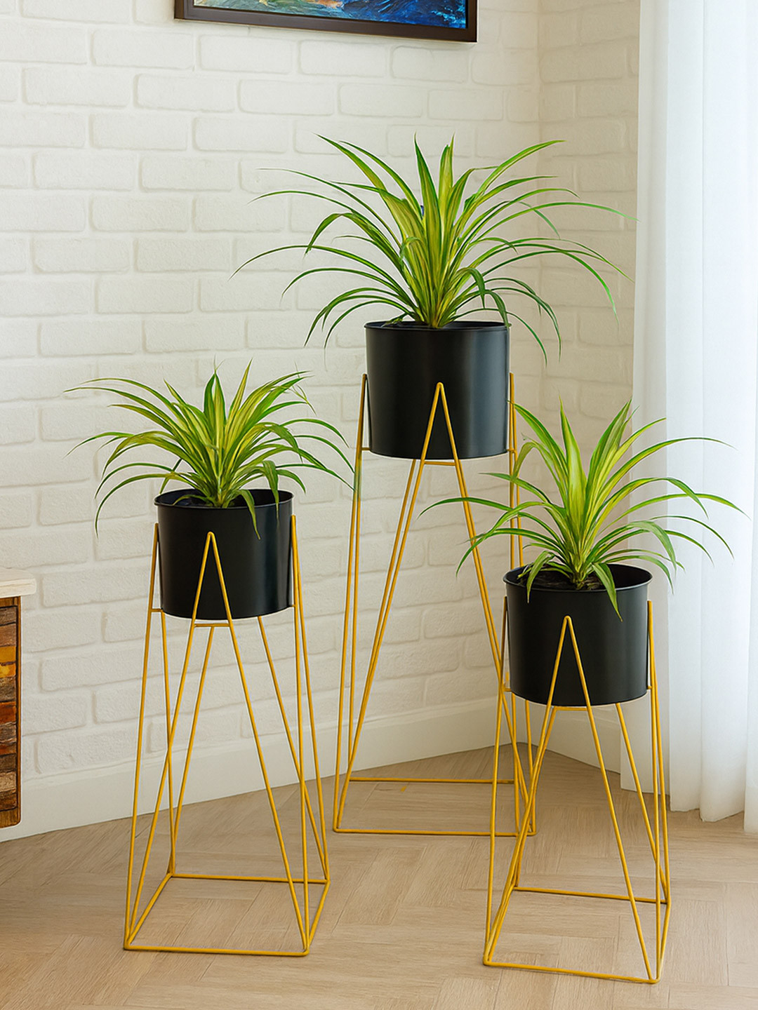 Homesake Set Of 3 Planters With Black Pot