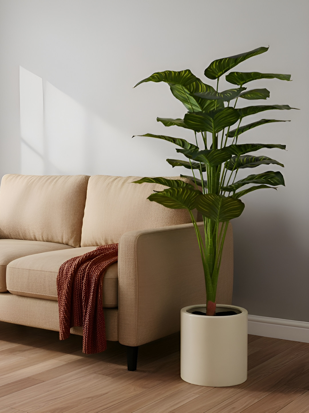 AARVI DECOR STUDIO Green 1 Pieces Calathea Artificial Plant