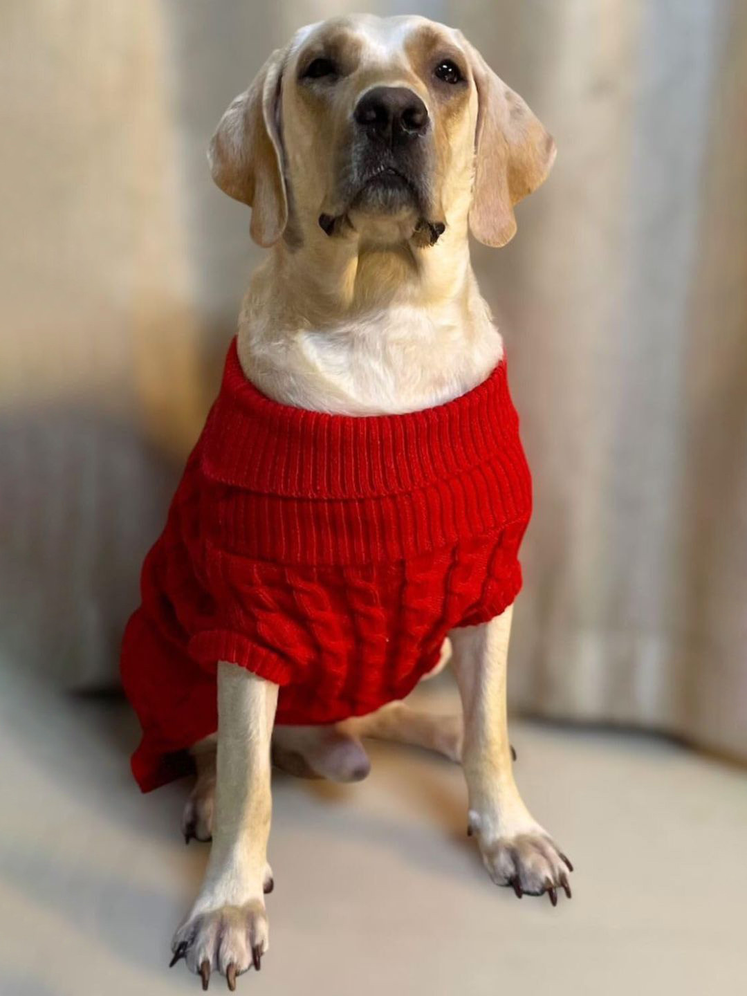 Lulala Self Design Turtle Neck Small Winter Dog Sweater