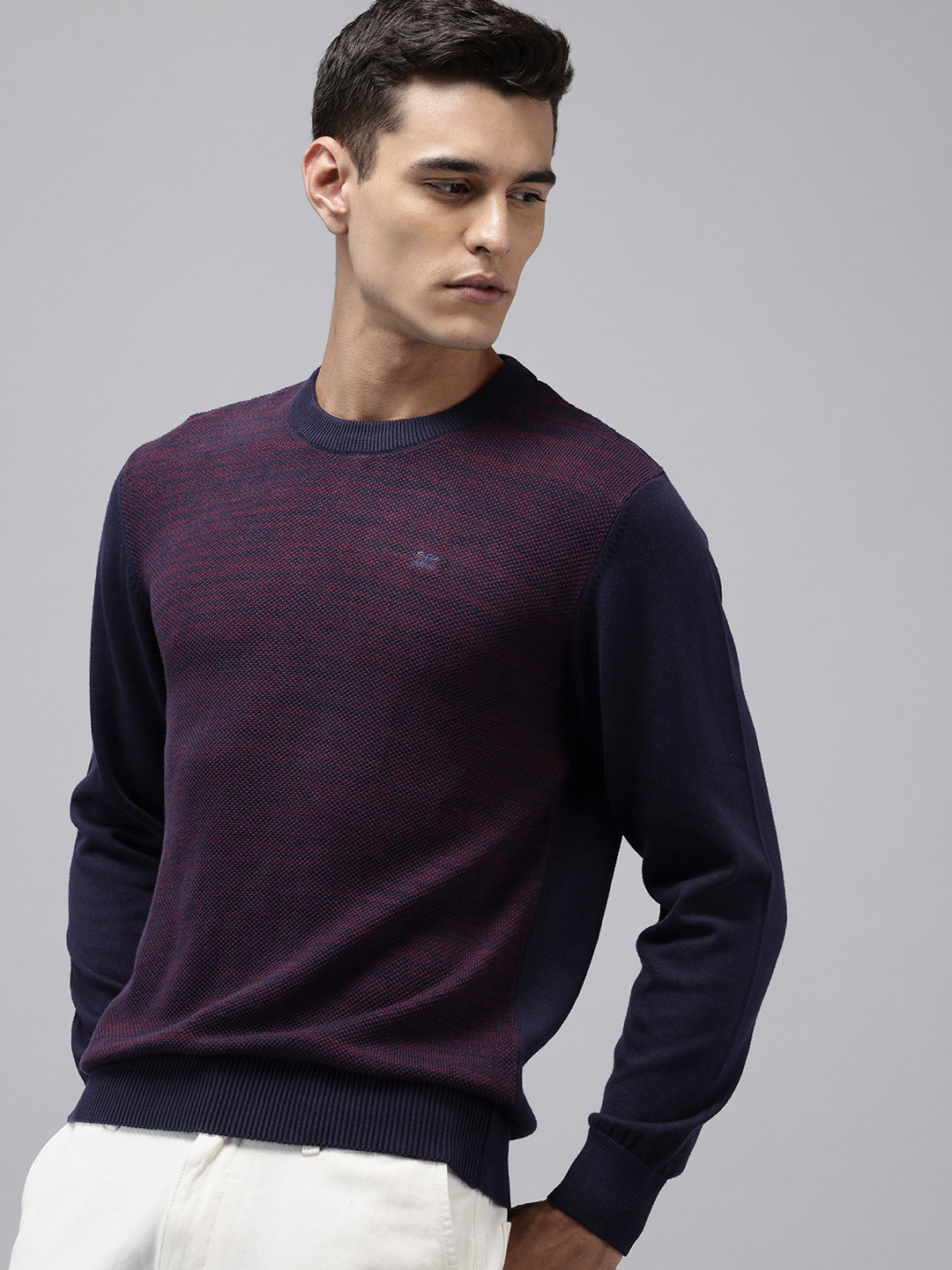 ColorPlus Self Design Pure Cotton Pullover Sweaters