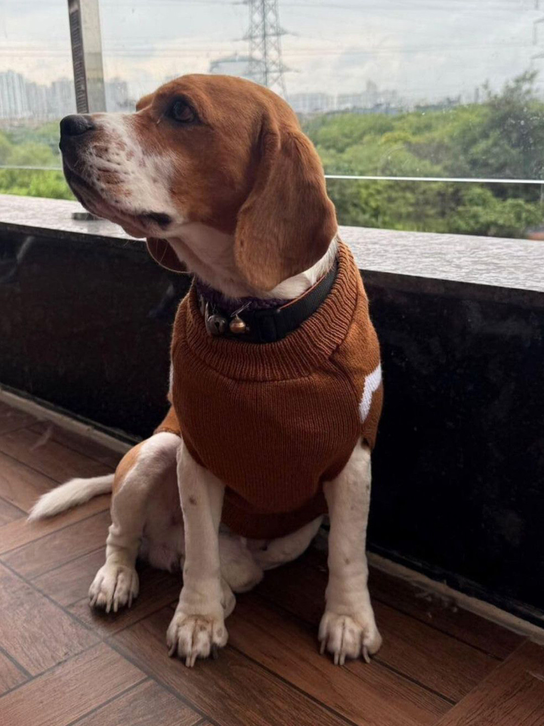 Lulala Geometric Printed Turtle Neck Small Winter Dog Sweater