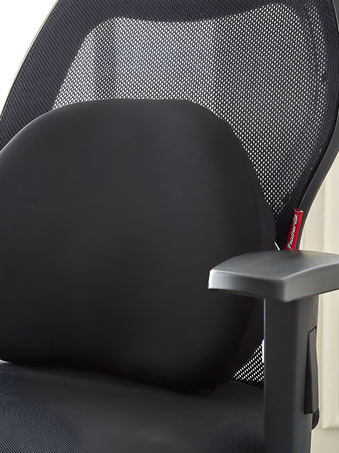 Home Centre Slumber Yiwu Black Memory Foam Back Cushion