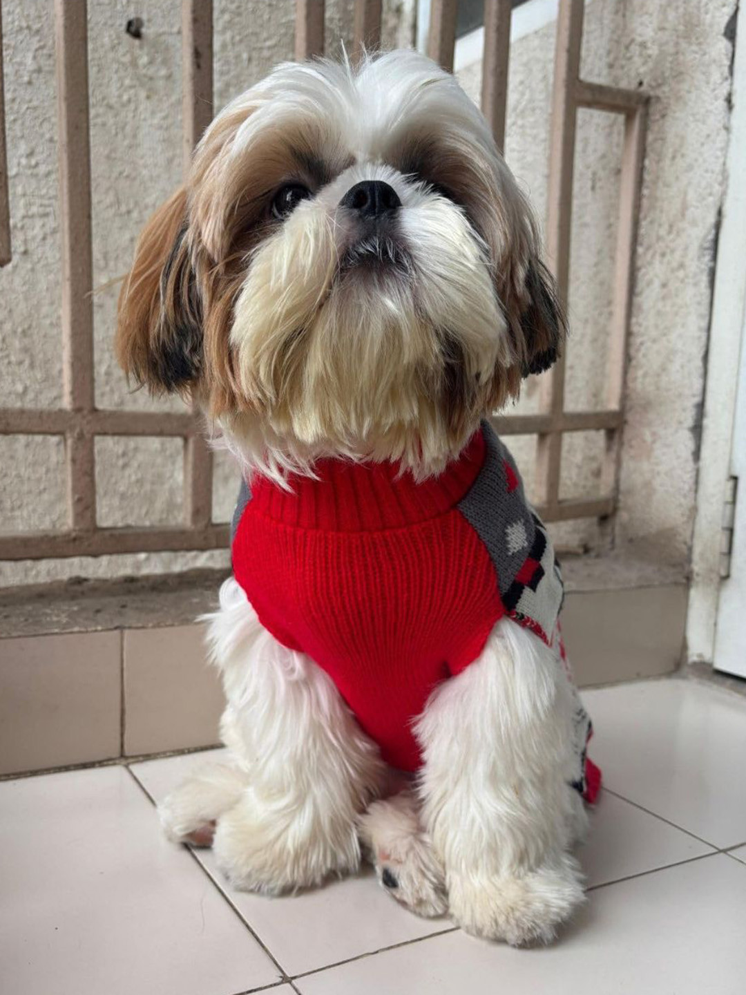 Lulala Geometric Printed Turtle Neck Medium Winter Dog Sweater