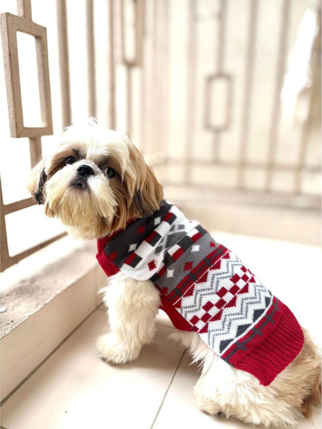 Lulala Geometric Printed Turtle Neck Small Winter Dog Sweater