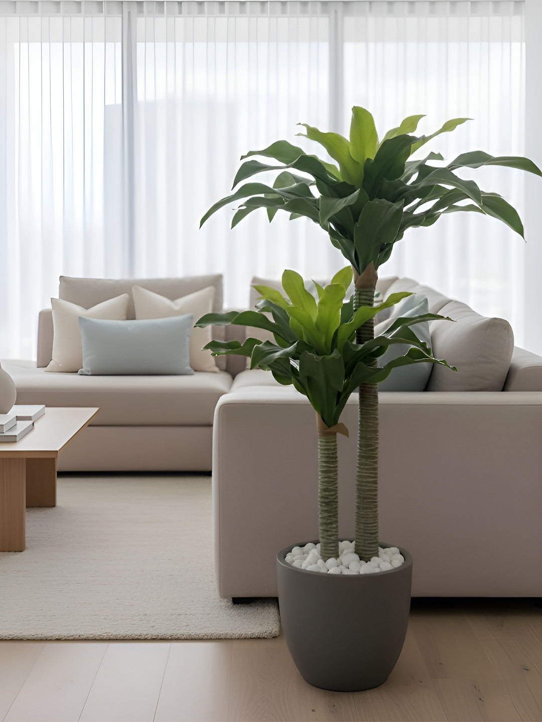 AARVI DECOR STUDIO Green & Brown 2 Pieces Dracaena Artificial Plants