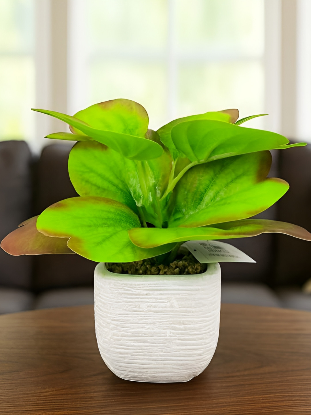 Go Hooked Green 1 Pieces Artificial Plant With 20cm Pot