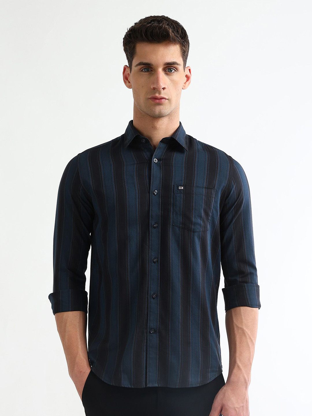 Arrow Sport Vertical Stripes Spread Collar Roll-Up Sleeves Slim Fit Cotton Casual Shirt