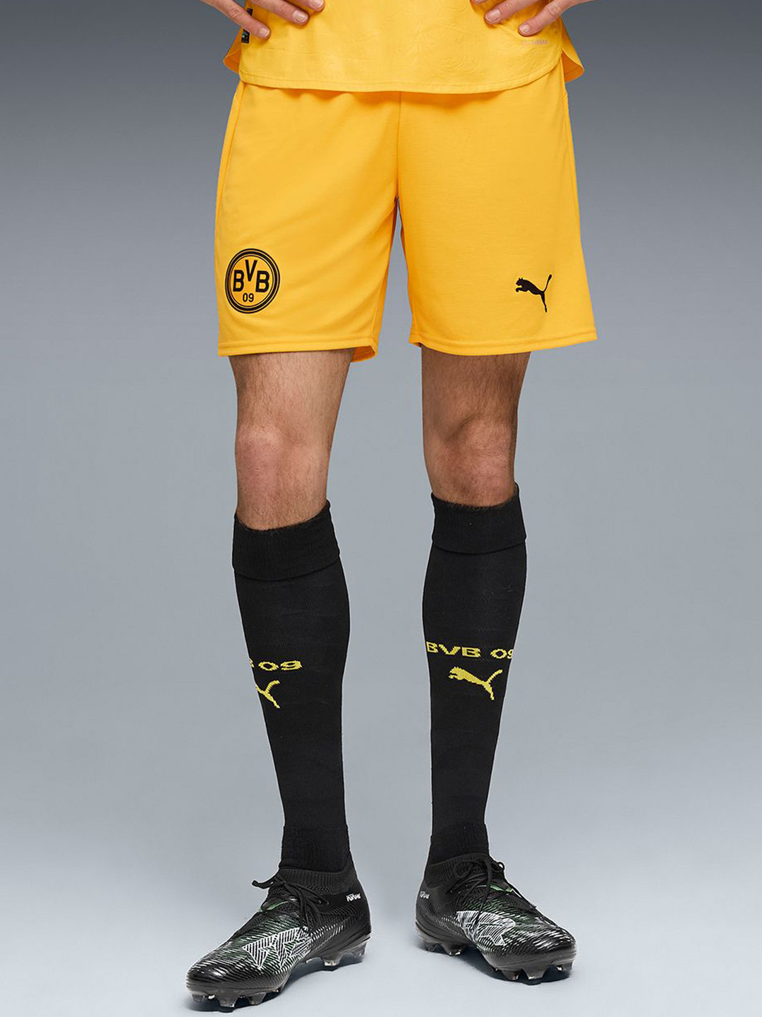 Puma Borussia Dortmund Men's 25/26 Replica Shorts