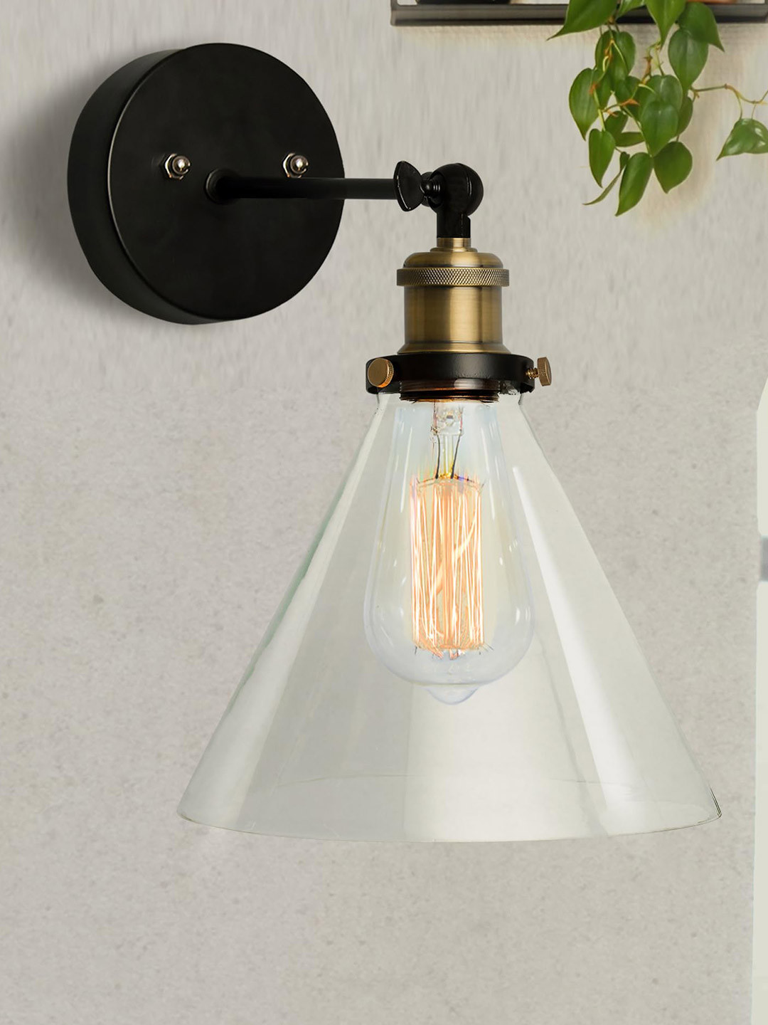 Homesake Black & Transparent Solid Handcrafted Armed Sconces