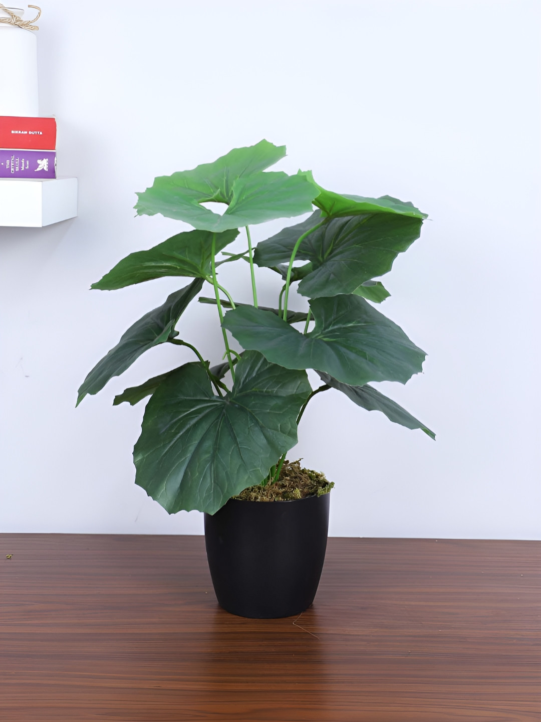 Home Bloom Green & Black Begonia Artificial Plant With Pot