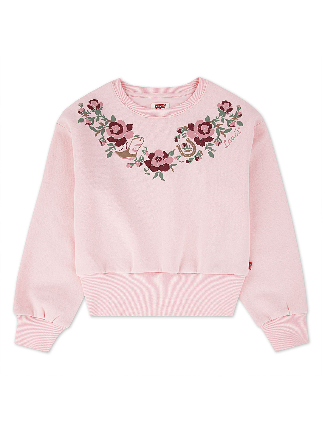 Levis Girls Printed Drop Shoulder Sweatshirt
