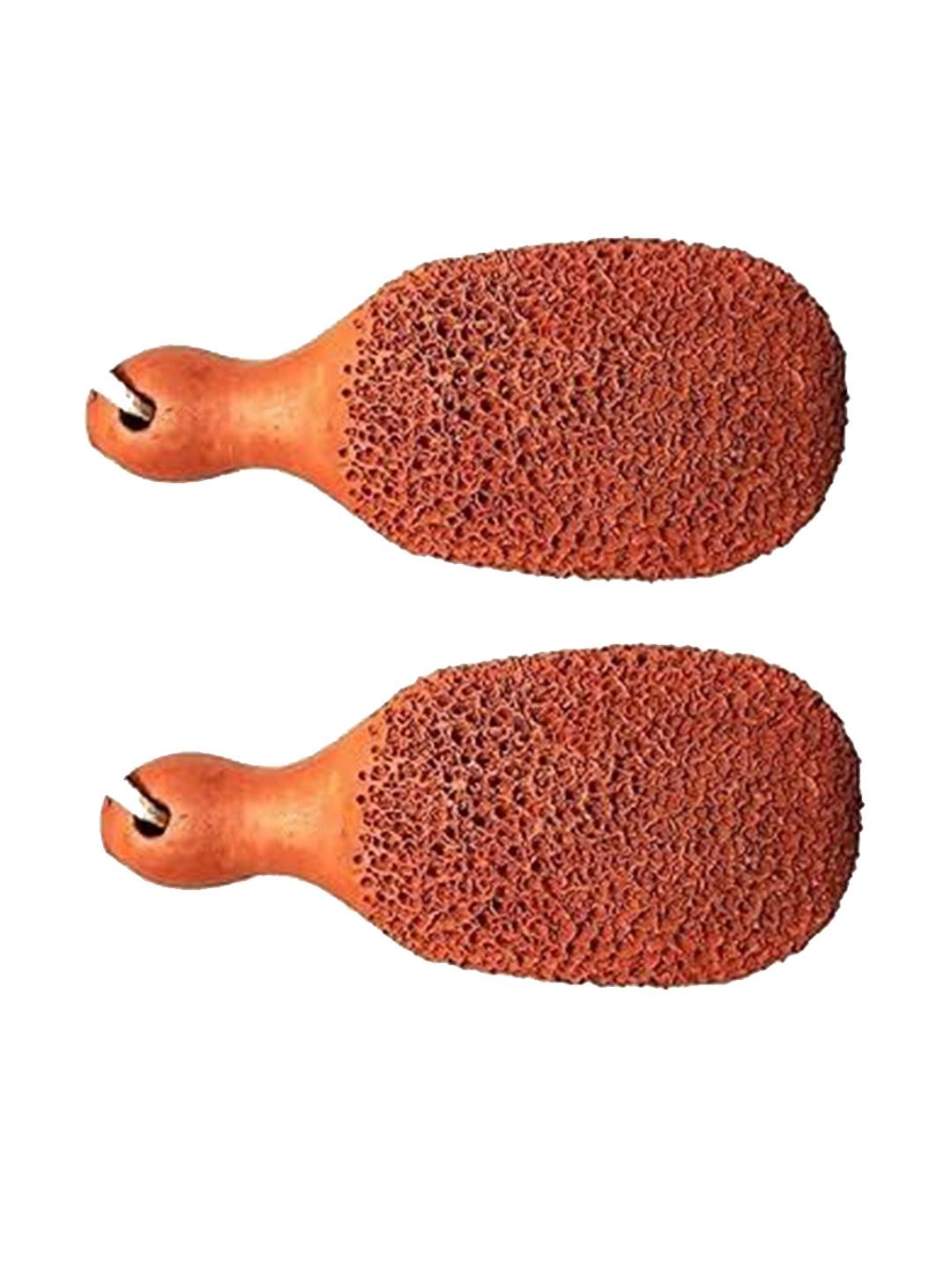 Turtuls Group Set Of 2 Dead Skin Remover Foot Scrubber