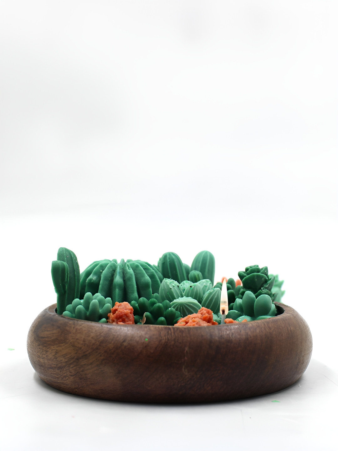 RANDOM Green & Brown Cactus Theme Jasmine Fragrant Soy Wax in Round Wooden Tray