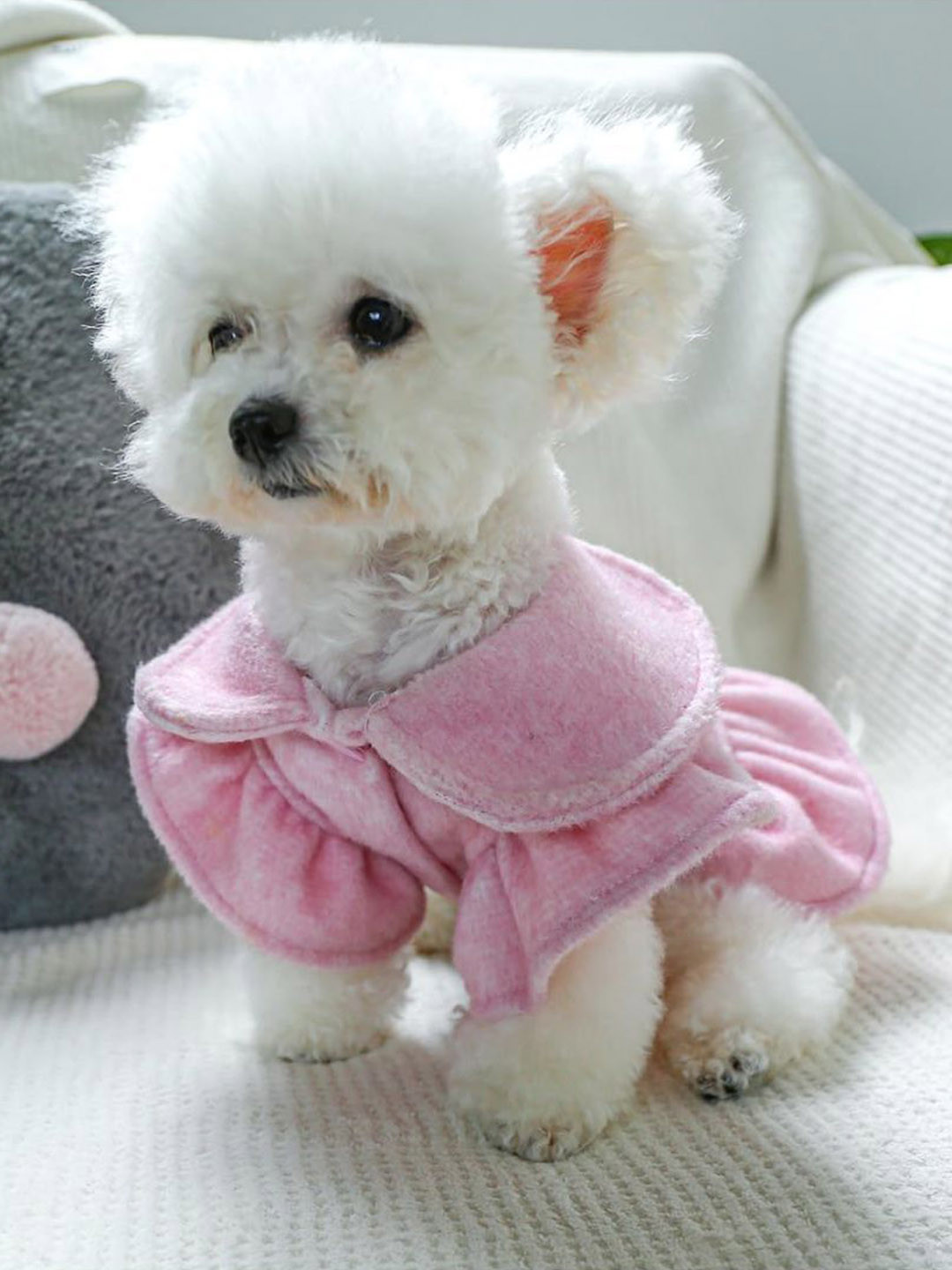 Lulala Bear & Duck Embroidered Dog Dress