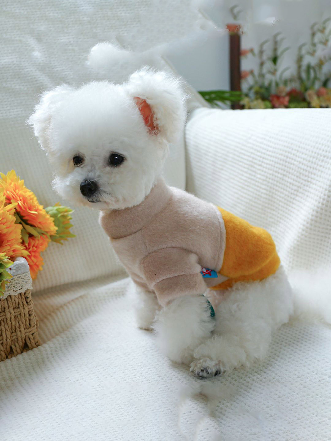 Lulala Duck Design Dog Dress