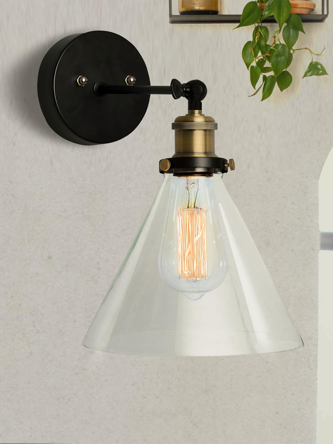 Homesake Black & Transparent Solid Handcrafted Swing Arm Wall Lamps