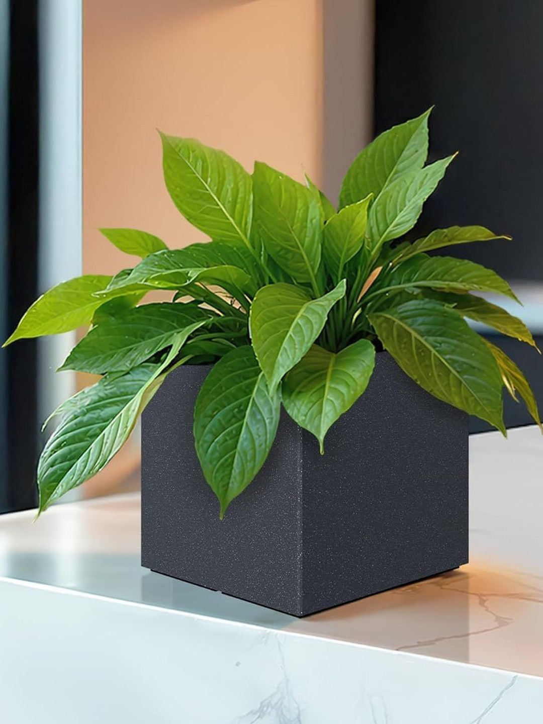 Go Hooked Cube 8 Inch Modern Flower Planter Pot