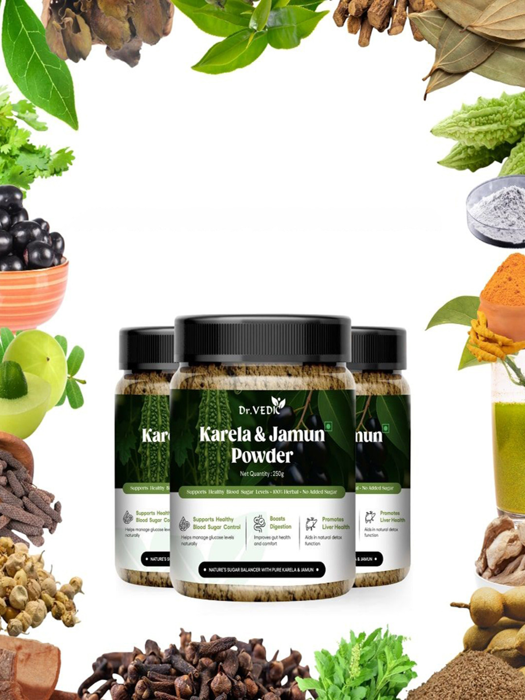 Dr Vedic Karela Jamun Powder With Gudmar & Amla- 250 g