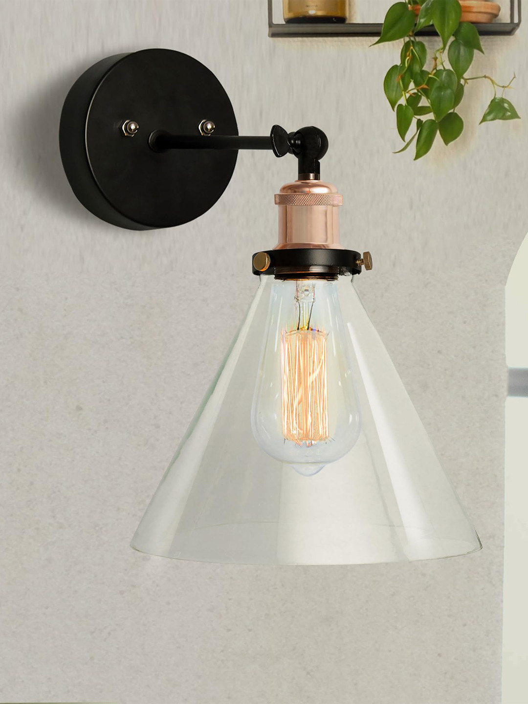 Homesake Black & Transparent Industrial Glass Cone Swing Arm Light