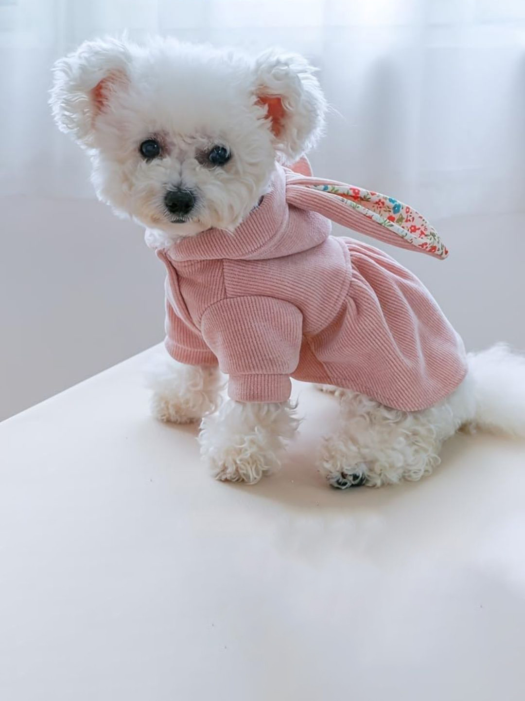 Lulala Dogs & Cats Self Design Winter Jackets
