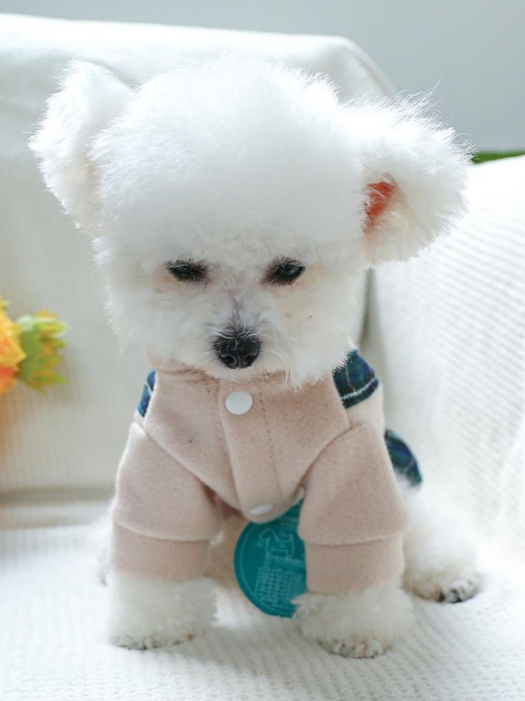 Lulala Dogs & Cats Checked Winter Jacket