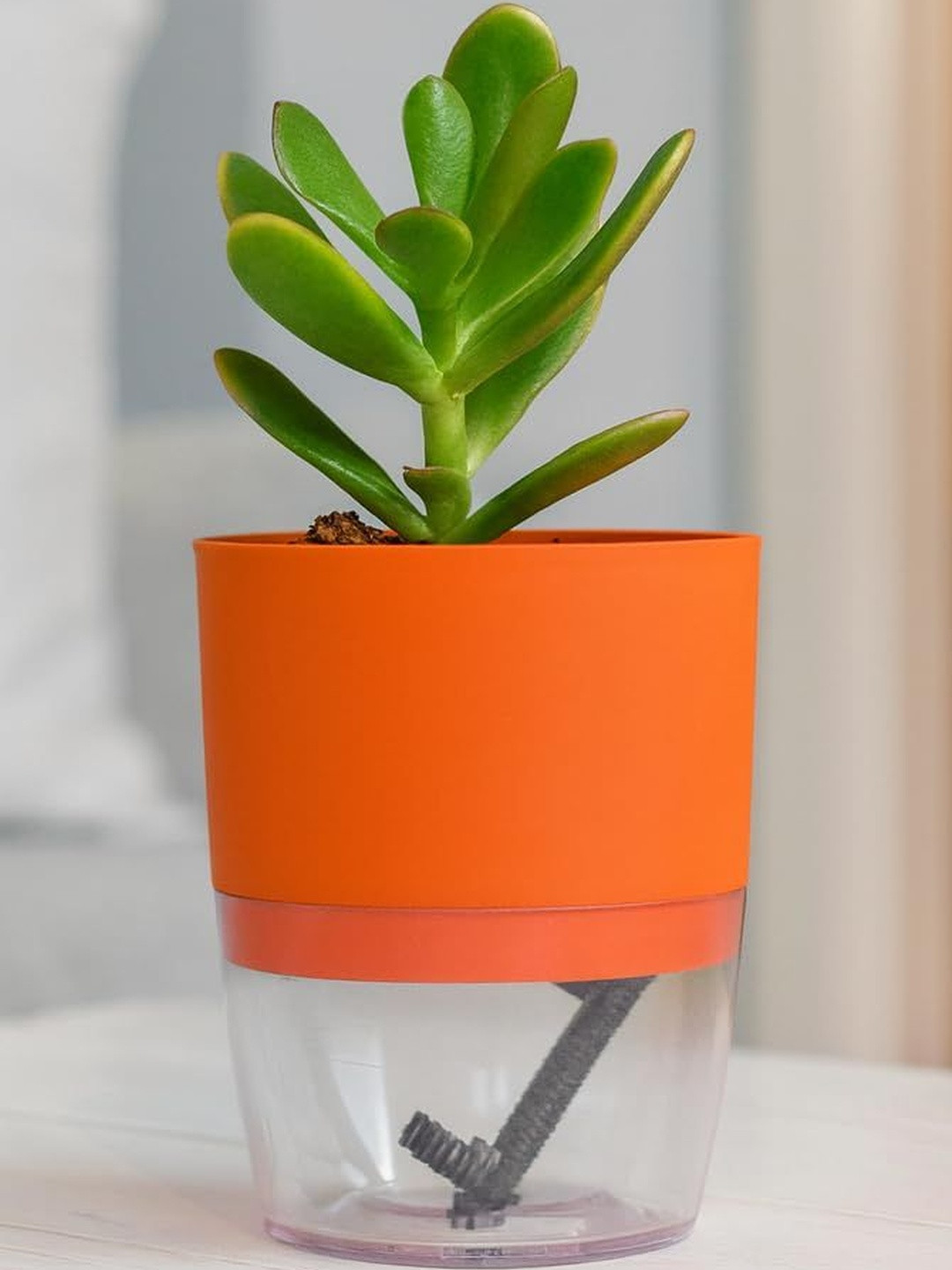 India Gardening Self-Watering Glass Pot