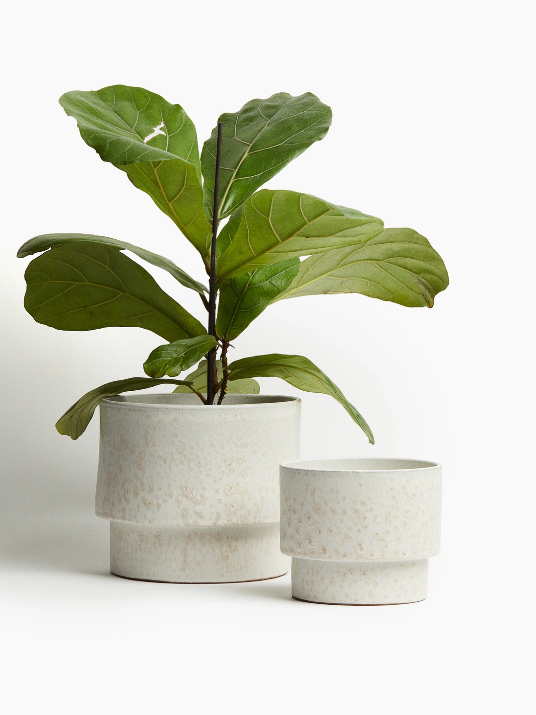 H&M White Extra-Large Terracotta Plant Pot