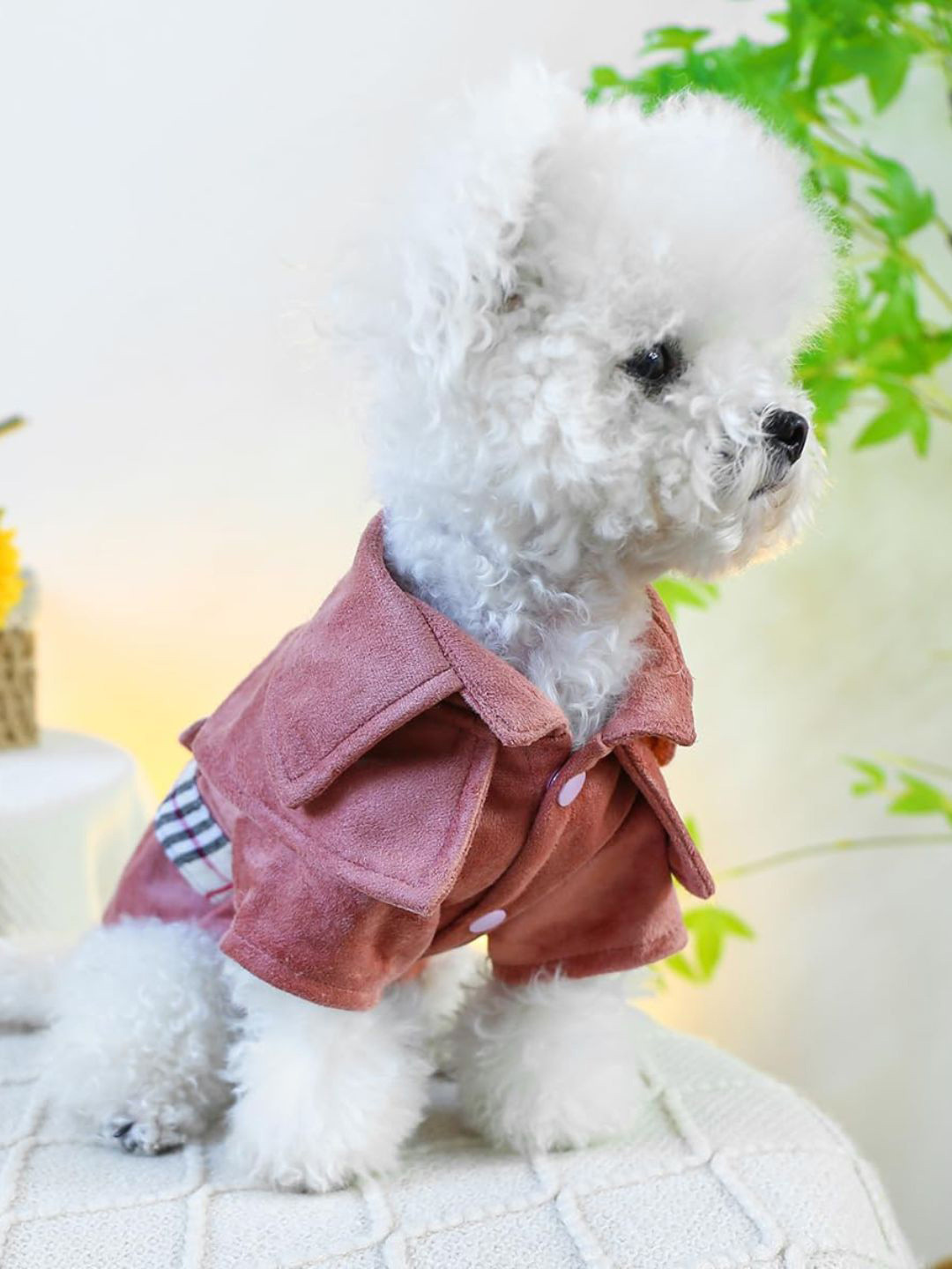 Lulala Dogs & Cats Winter Trench Coat With Plaid Belt