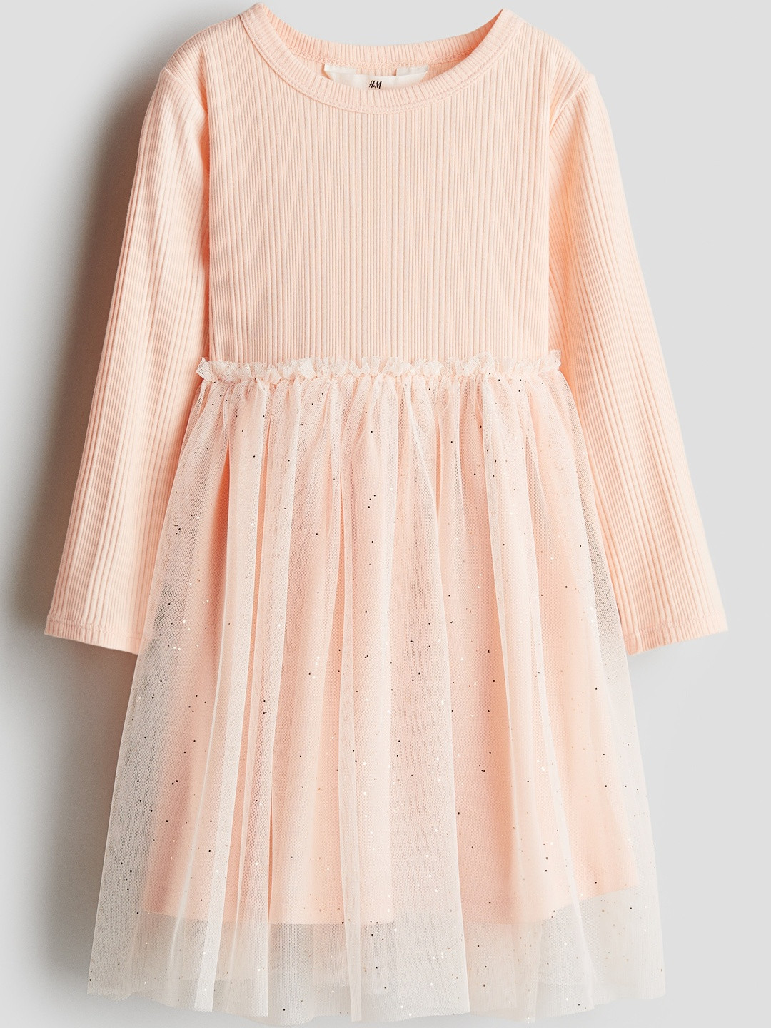 H&M Infant Girls Tulle Fit and Flare Dress