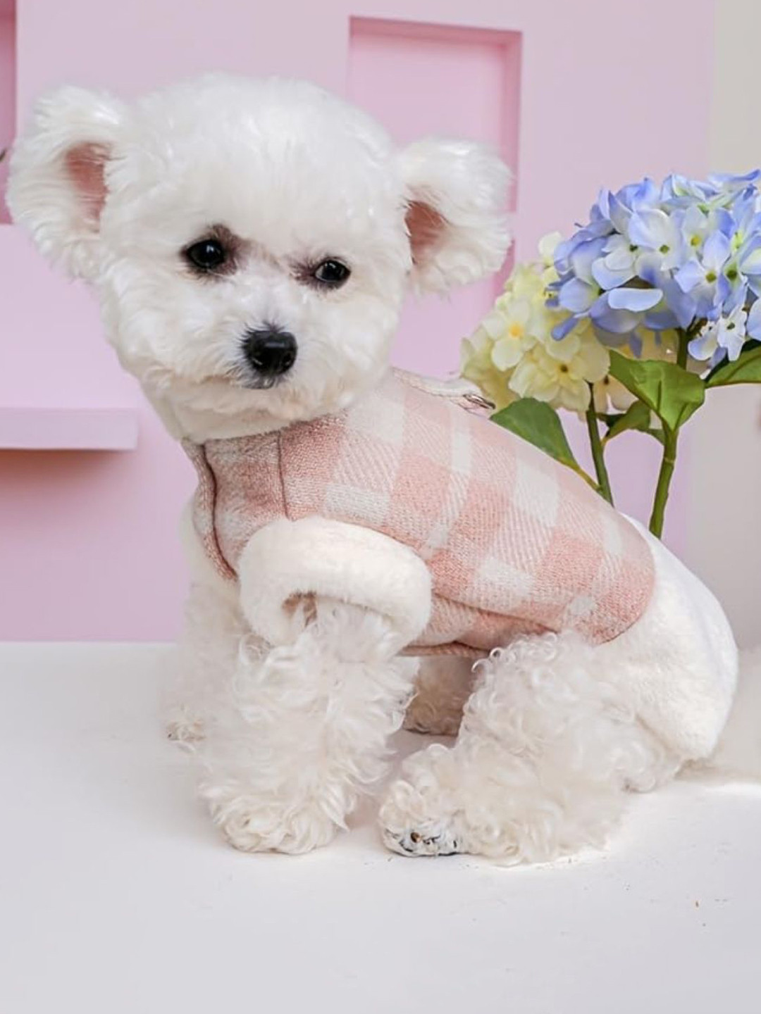 Lulala Dogs & Cats Checked Winter Coat