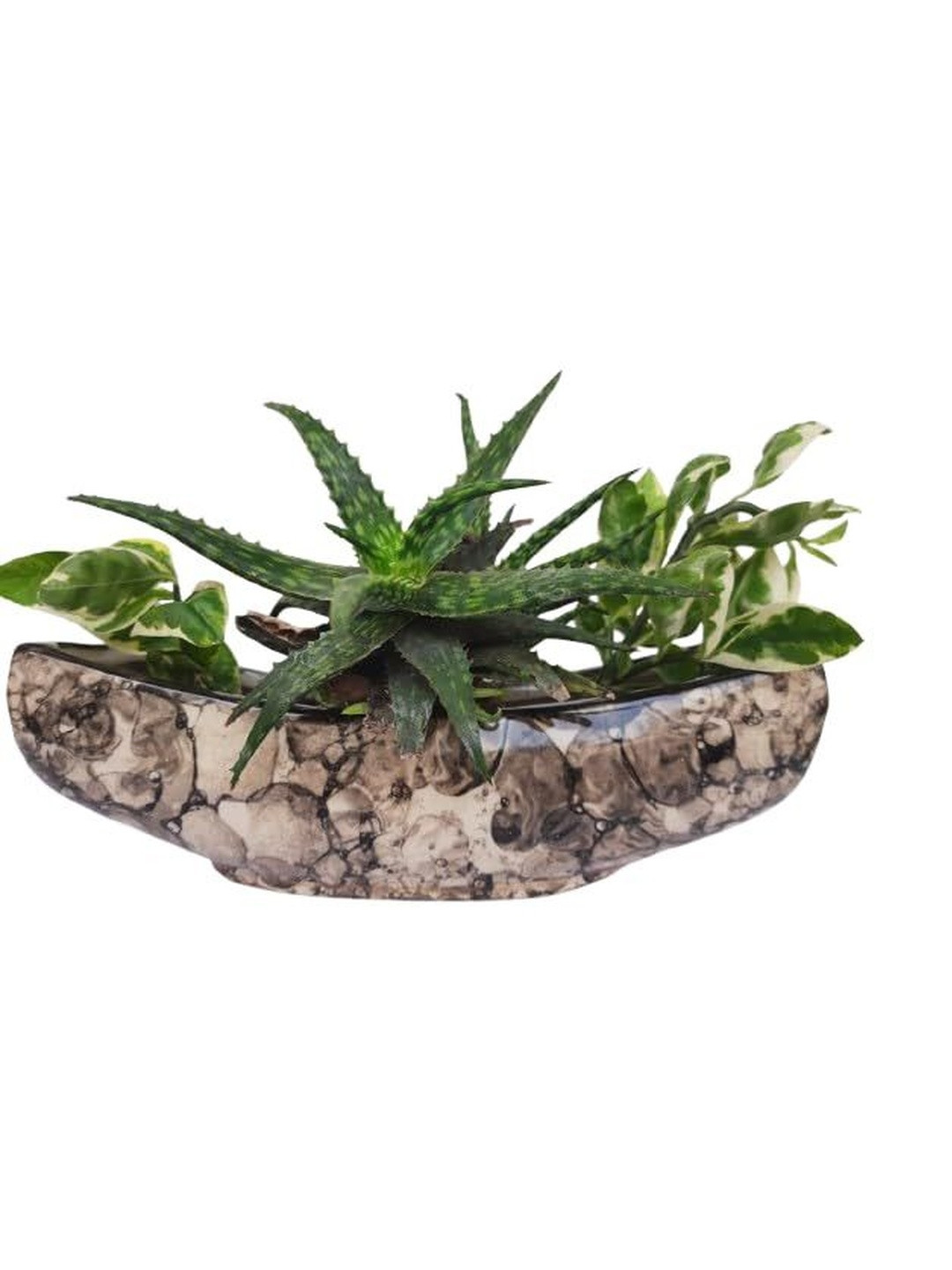 SAJAAO Black Boat Shaped Planters