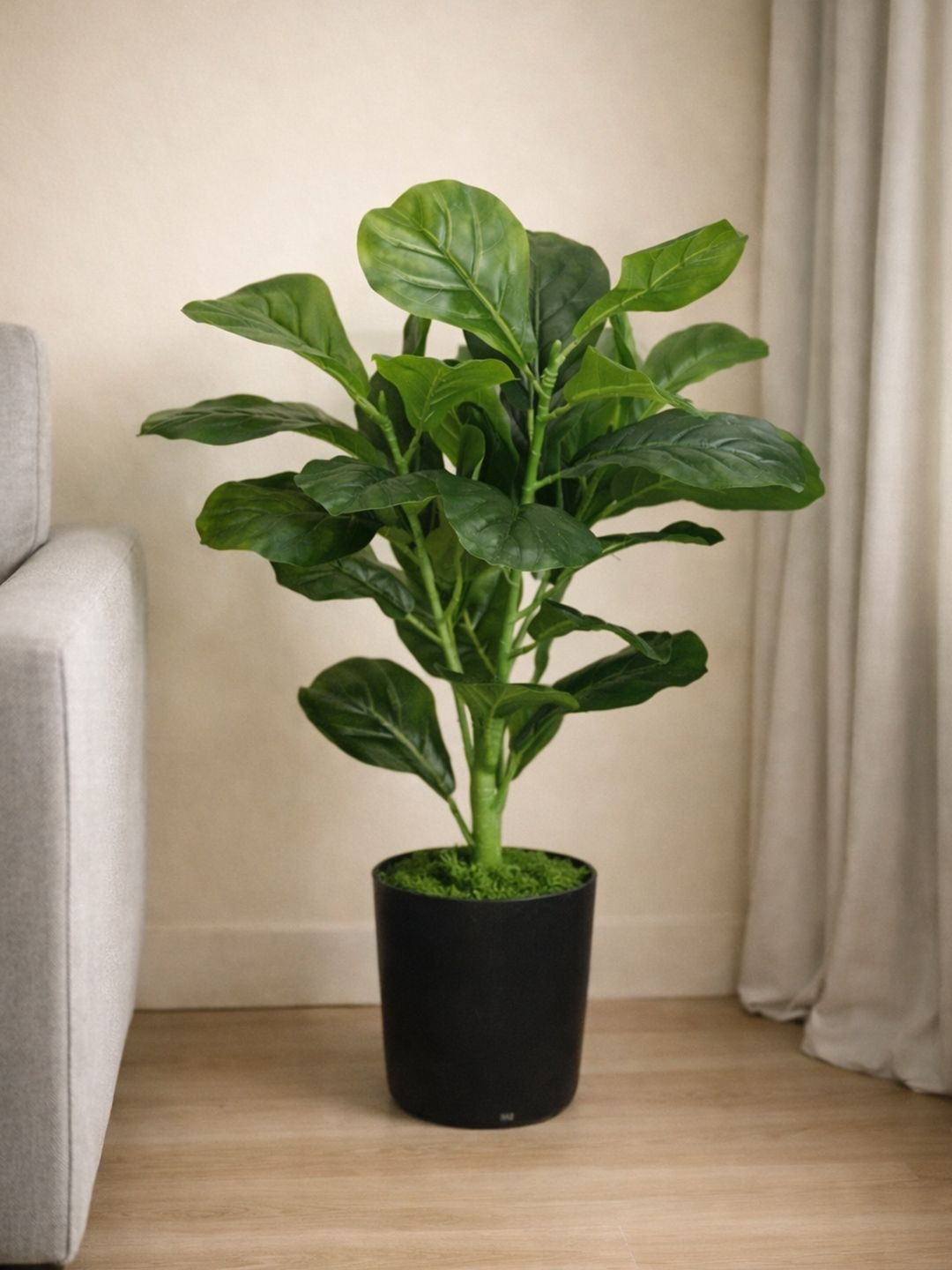 Art Street Fiddle Leaf Plant with Black Plastic Pot & Real Moss Grass Plant 35 Inch