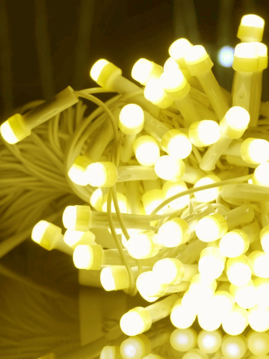 EarthCraft White LED Rice Shape String Lights