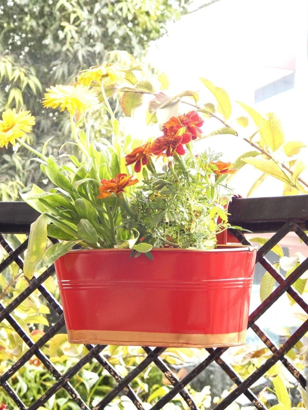 ecofynd Red Metal Oval Planters