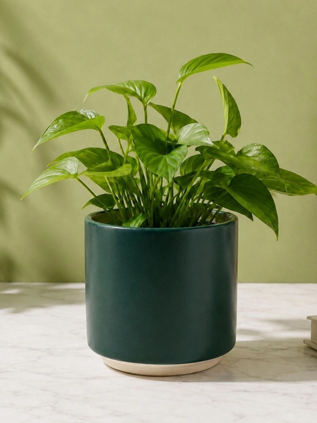 ecofynd Green Metal Round Planters