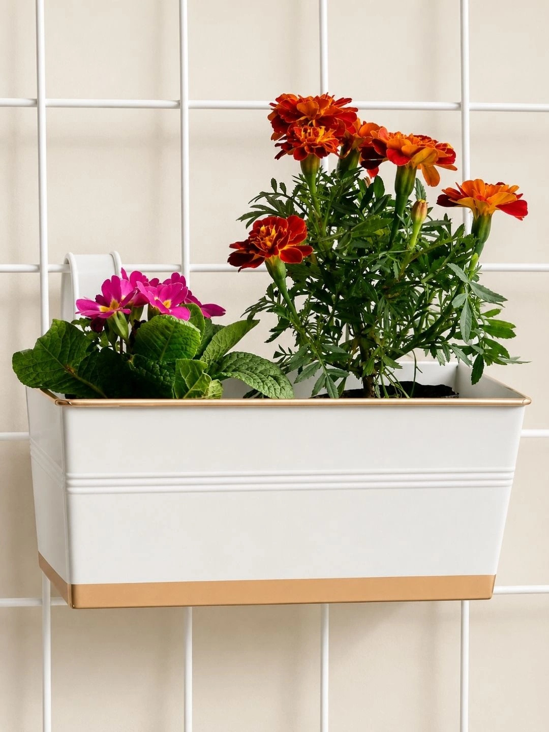 ecofynd White Metal Rectangle Planters