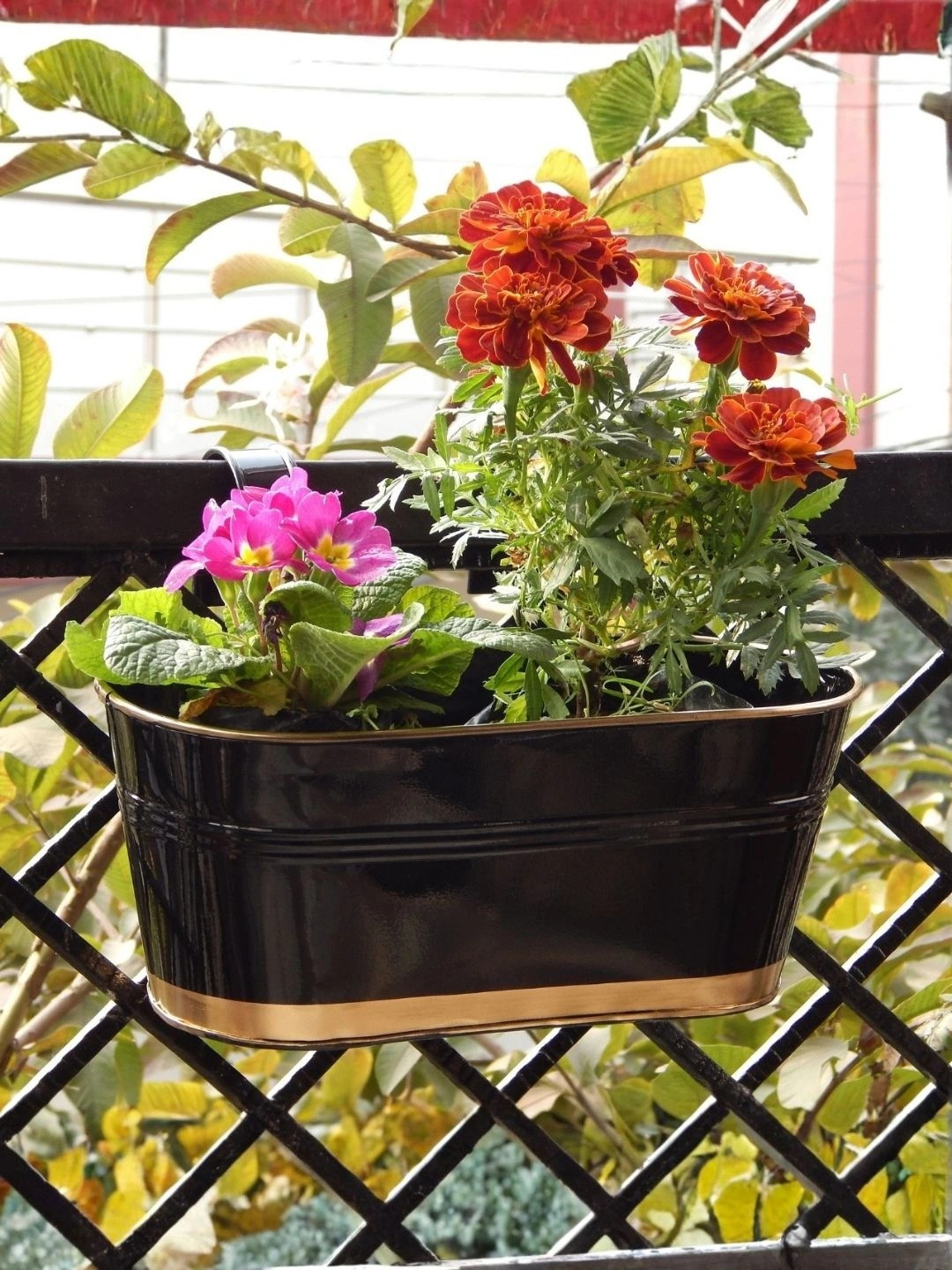 ecofynd Black Metal Rectangle Planters