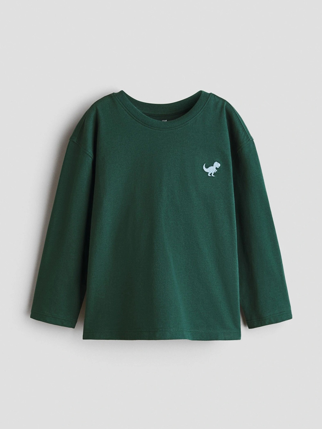H&M Printed Long-Sleeved T-Shirt