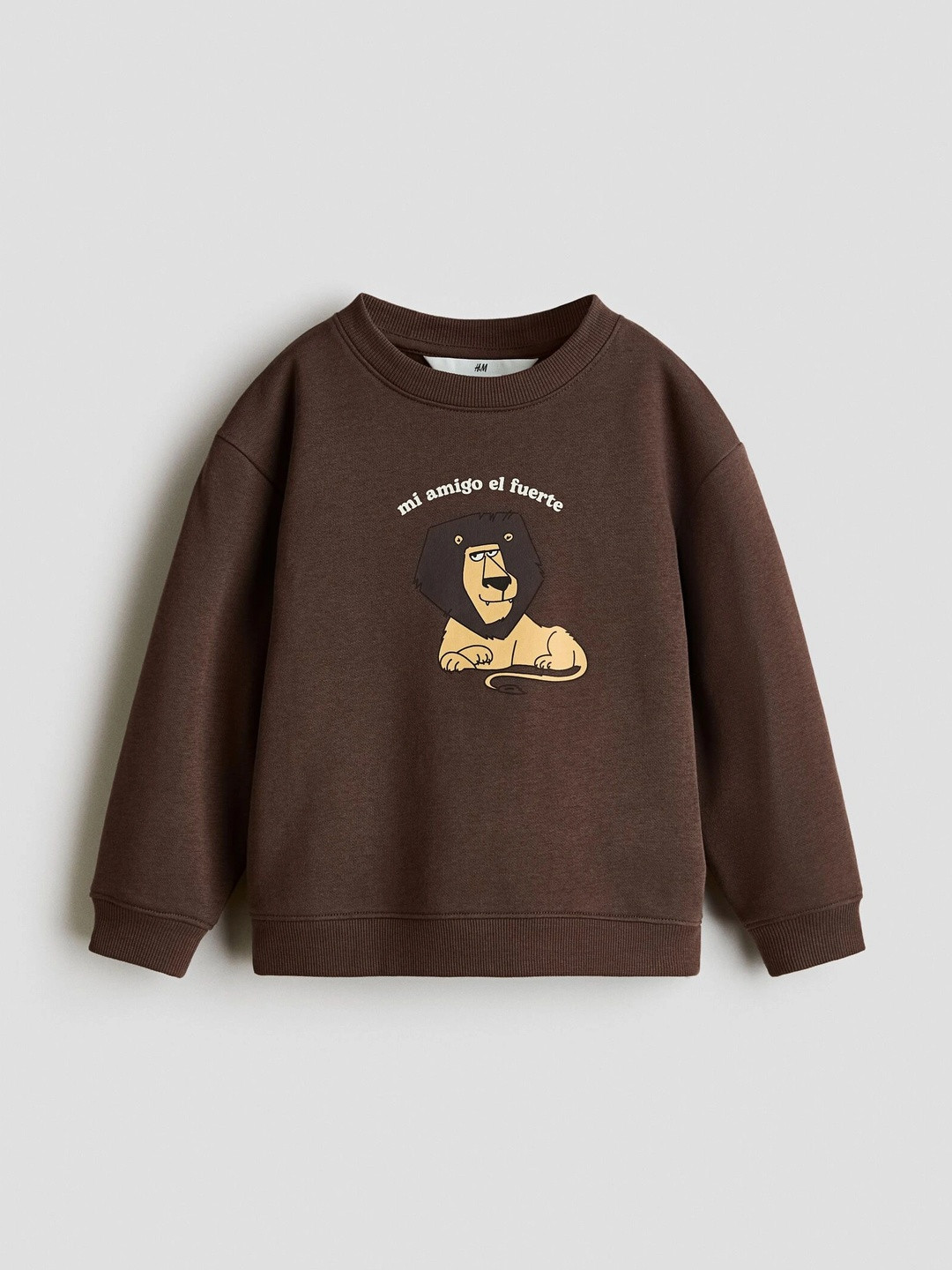 H&M Boys Printed Sweatshirt