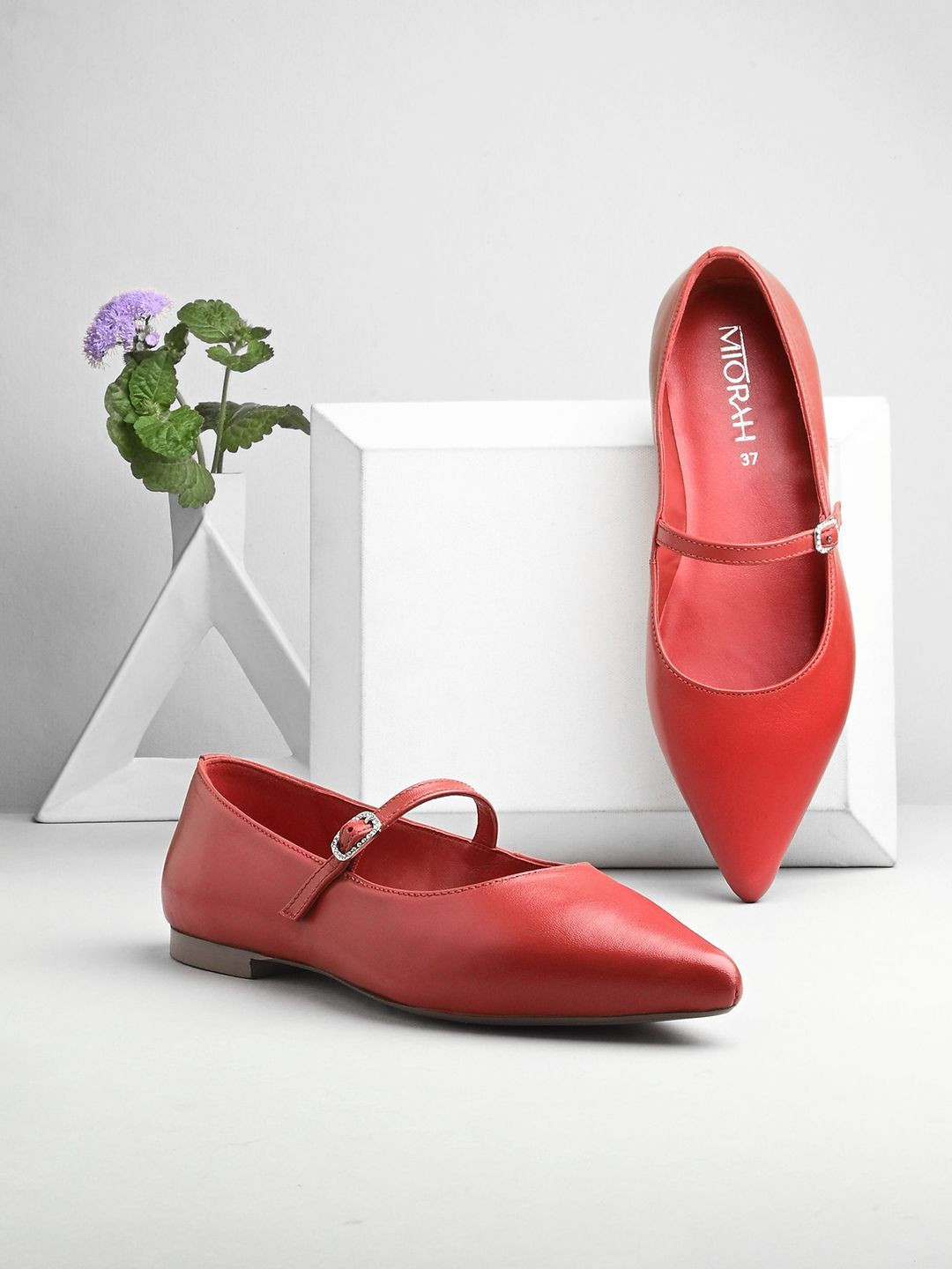 MIORAH Poppy Leather Pointed Toe Comfortable Buckle Flats
