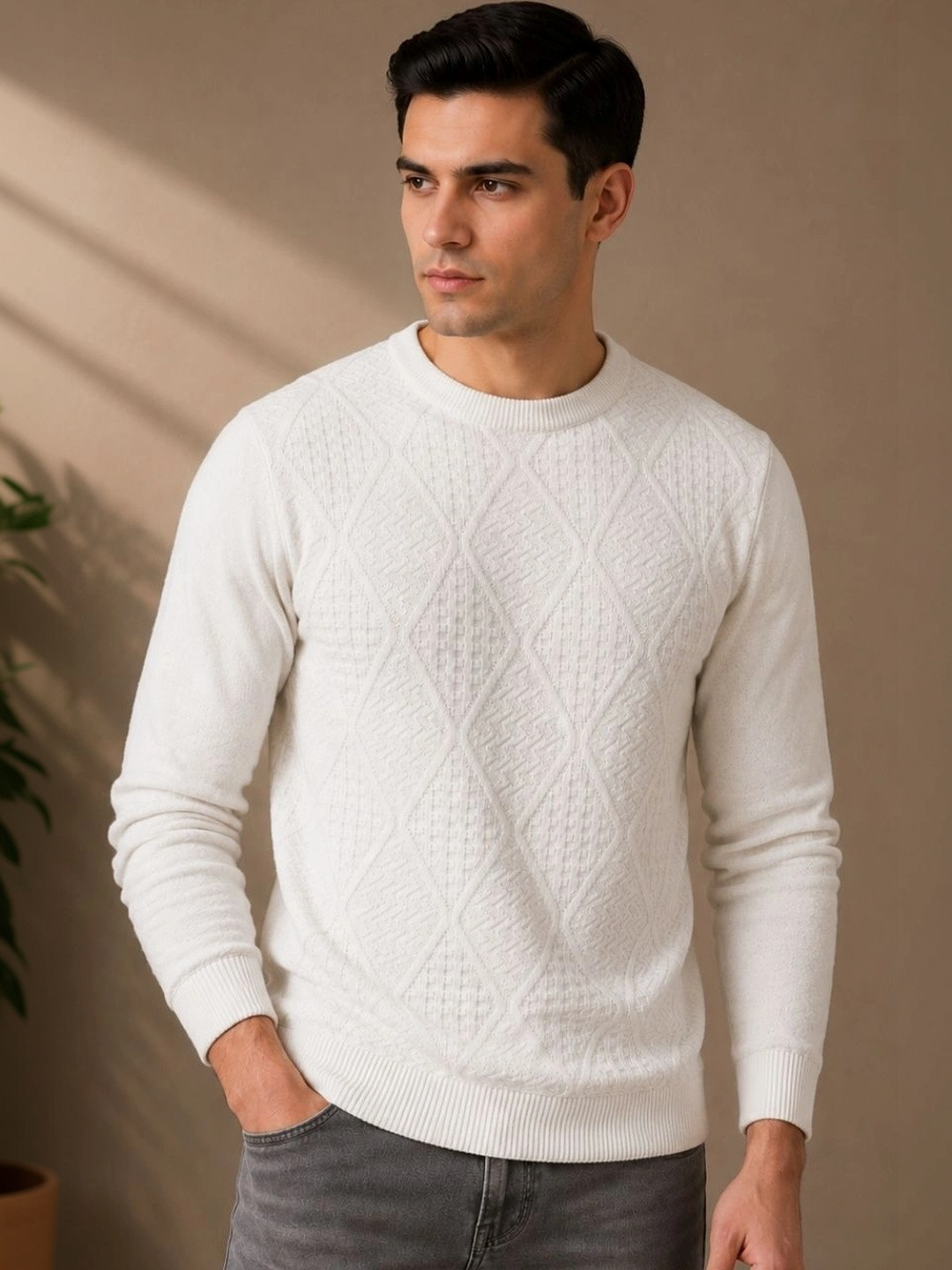 FEVERFEW Men Pullover