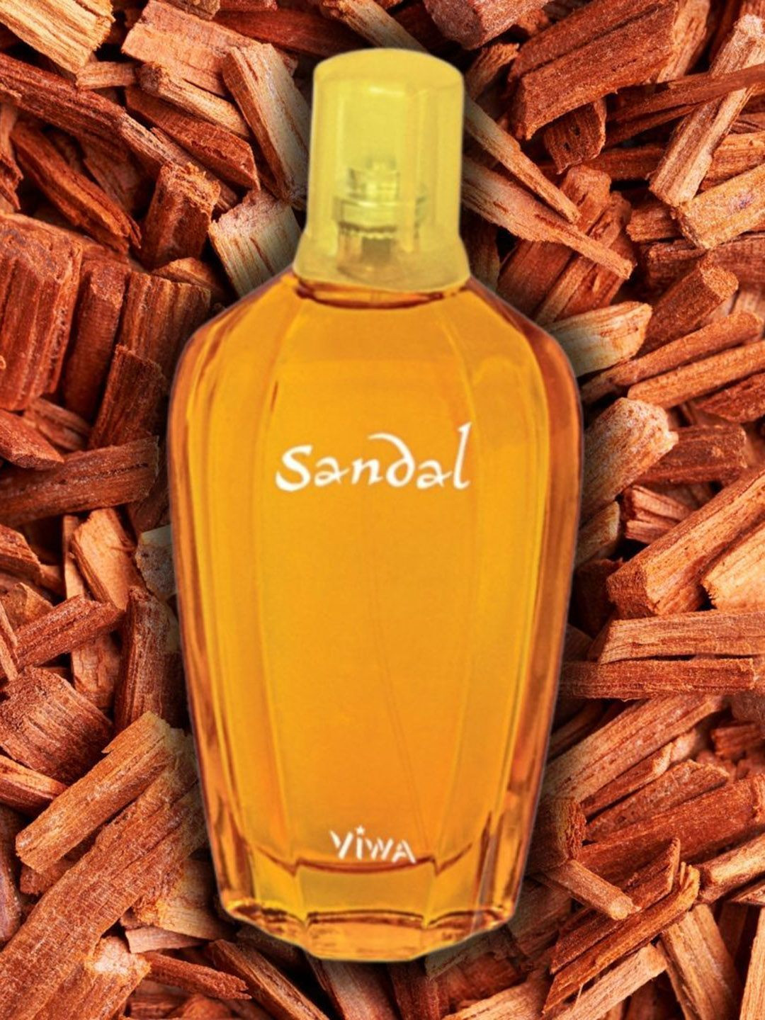 VIWA Sandal Long Lasting Eau De Parfum- 100 ml
