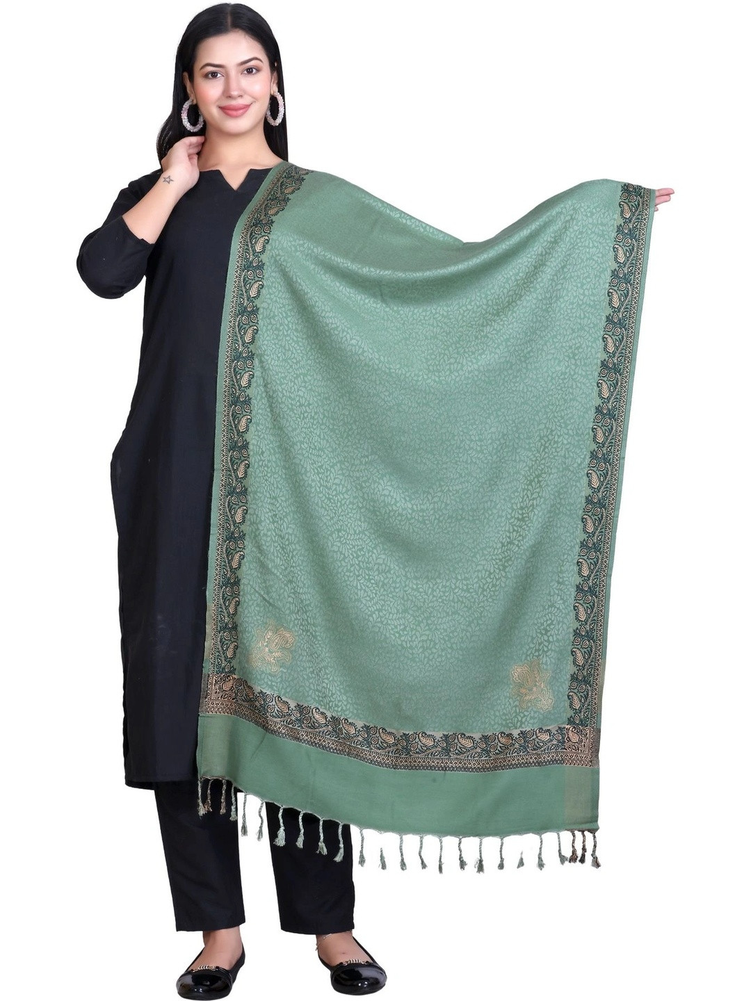 SHAKTIAURA Women Woven Design Stole